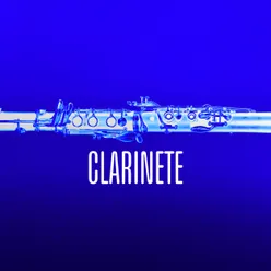 CLARINETE 2 - 8.wav