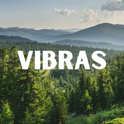 VIBRAS