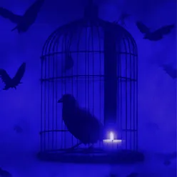 Bird in a Cage