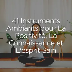 Méditation Musique, pt. 16