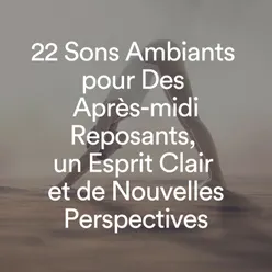 22 Sons Ambiants pour Des Après-midi Reposants, un Esprit Clair et de Nouvelles Perspectives