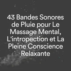 43 Bandes Sonores de Pluie pour Le Massage Mental, L'intropection et La Pleine Conscience Relaxante