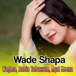 Wade Shapa