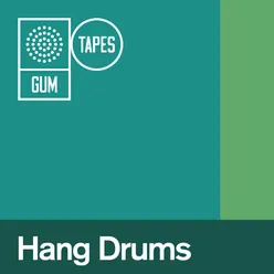 GTP169 Hang Drum