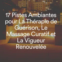 17 Pistes Ambiantes pour La Thérapie de Guérison, Le Massage Curatif et La Vigueur Renouvelée