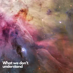 What we don't understand