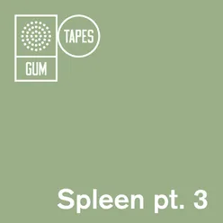GTP134 Spleen, Pt. 3