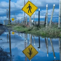 reflejos