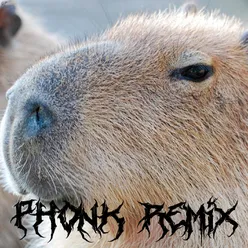 Capybara