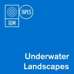 GTP051 Underwater Landscapes
