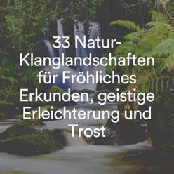 Meditationsgeräusche der Natur