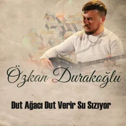 Dut Ağacı Dut Verir Su Sızıyor