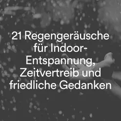 21 Regengeräusche für Indoor-Entspannung, Zeitvertreib und friedliche Gedanken