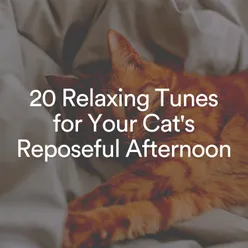 20 Relaxing Tunes for Your Cat's Reposeful Afternoon