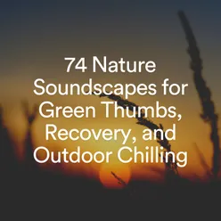 74 Nature Soundscapes for Green Thumbs, Recovery, and Outdoor Chilling