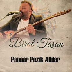 Pancar Pezik Allılar