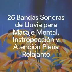 26 Bandas Sonoras de Lluvia para Masaje Mental, Instropección y Atención Plena Relajante