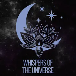 Whispers of the Universe