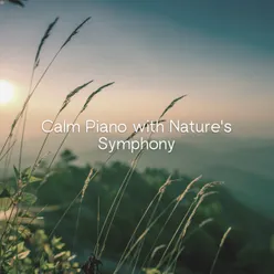Calm Piano with Nature's Symphony