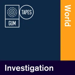 GT024 Investigation : World