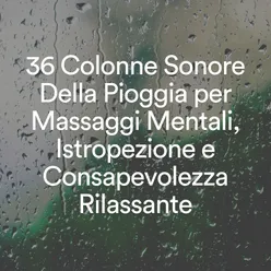 Musica rilassante per meditazioni oceaniche, pt. 12