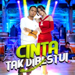 Cinta Tak Direstui