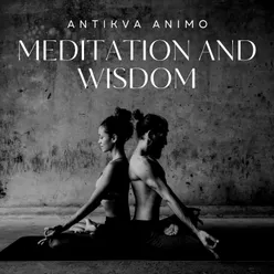 Meditation and Wisdom