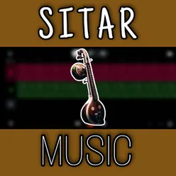 Sitar Instrument