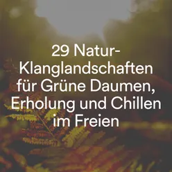 29 Natur-Klanglandschaften für Grüne Daumen, Erholung und Chillen im Freien
