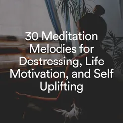 30 Meditation Melodies for Destressing, Life Motivation, and Self Uplifting