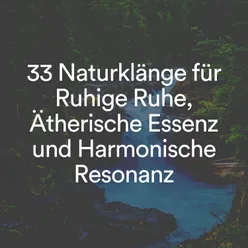 Schönheit in der Natur, Pt. 3