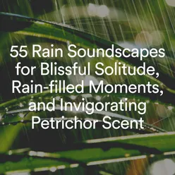 55 Rain Soundscapes for Blissful Solitude, Rain-filled Moments, and Invigorating Petrichor Scent