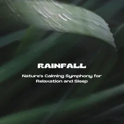 Rainfall: Nature's Calming Symphony for Relaxation and Sleep