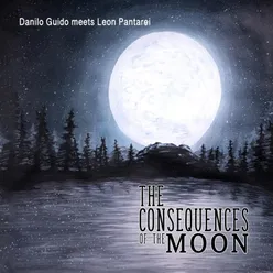 The Consequences of the Moon