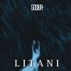 Litani