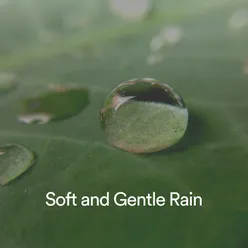 Ambient Rainfall: The Sound of Nature