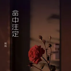 潇潇细雨