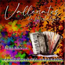 Vallenatos de Nostalgia, Vol.4