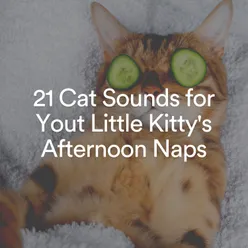 21 Cat Sounds for Yout Little Kitty's Afternoon Naps