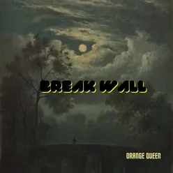 BREAK WALL