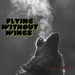 FLYING WITHOUT WINGS