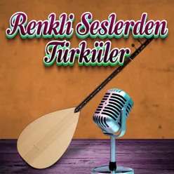 Renkli Seslerden Türküler