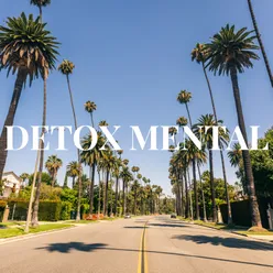 DETOX MENTAL