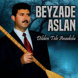 Dilden Tele Anadolu