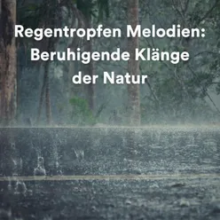 Regentropfen Melodien: Beruhigende Klänge der Natur