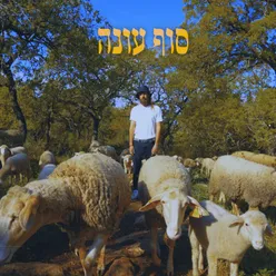 יפו