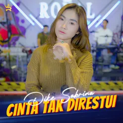 Cinta Tak Direstui