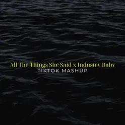 All The Things She Said x Industry Baby (TikTok Mashup)