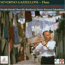 Concerto for flute and orchestra No. 5 in F Major, Op. 10, P 262: I. Allegro non molto
