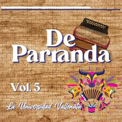 De Parranda, Vol.5